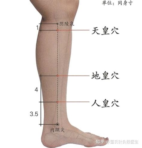 下三皇穴位|刘红云讲董氏奇穴：穴位详解7 下三皇